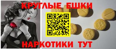 гашик Славгород